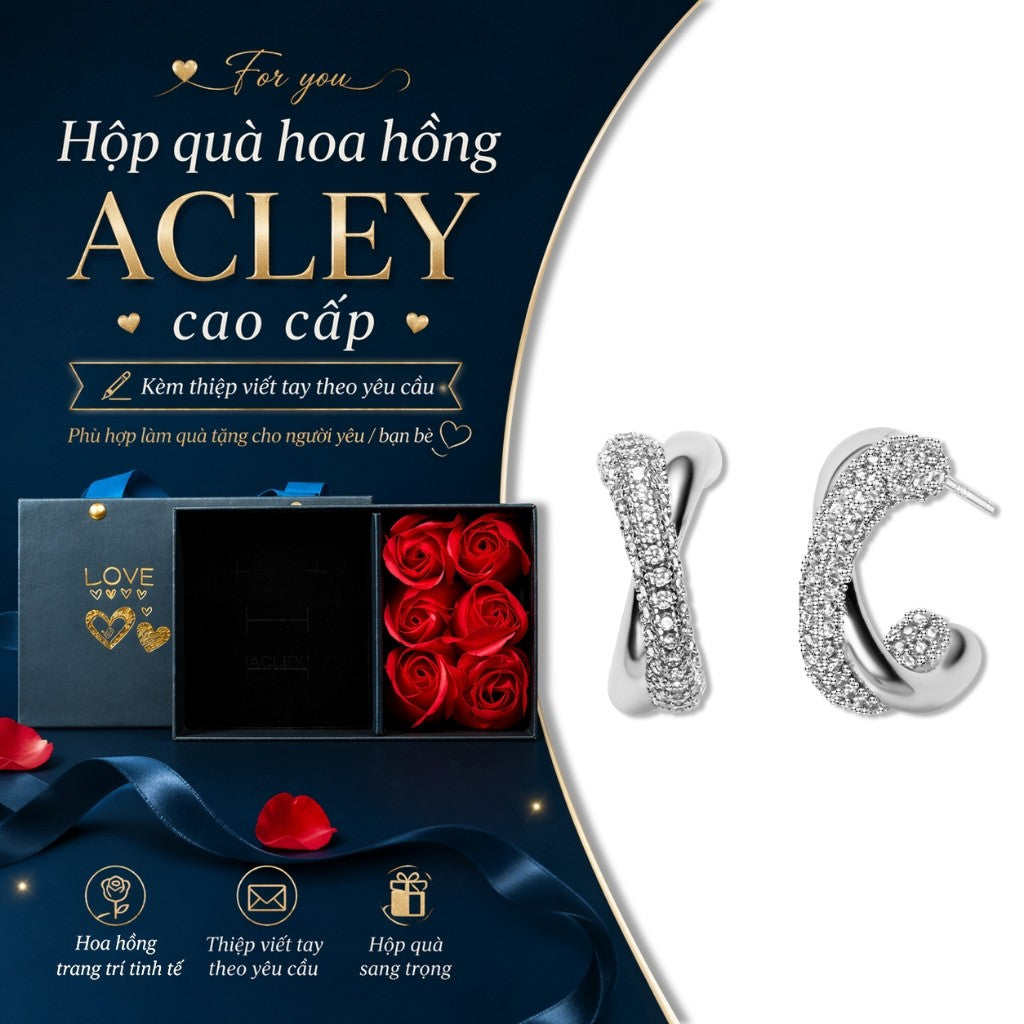 Bông tai vòng hợp kim đồng dáng xoắn đính đá zircon 5A kim bạc