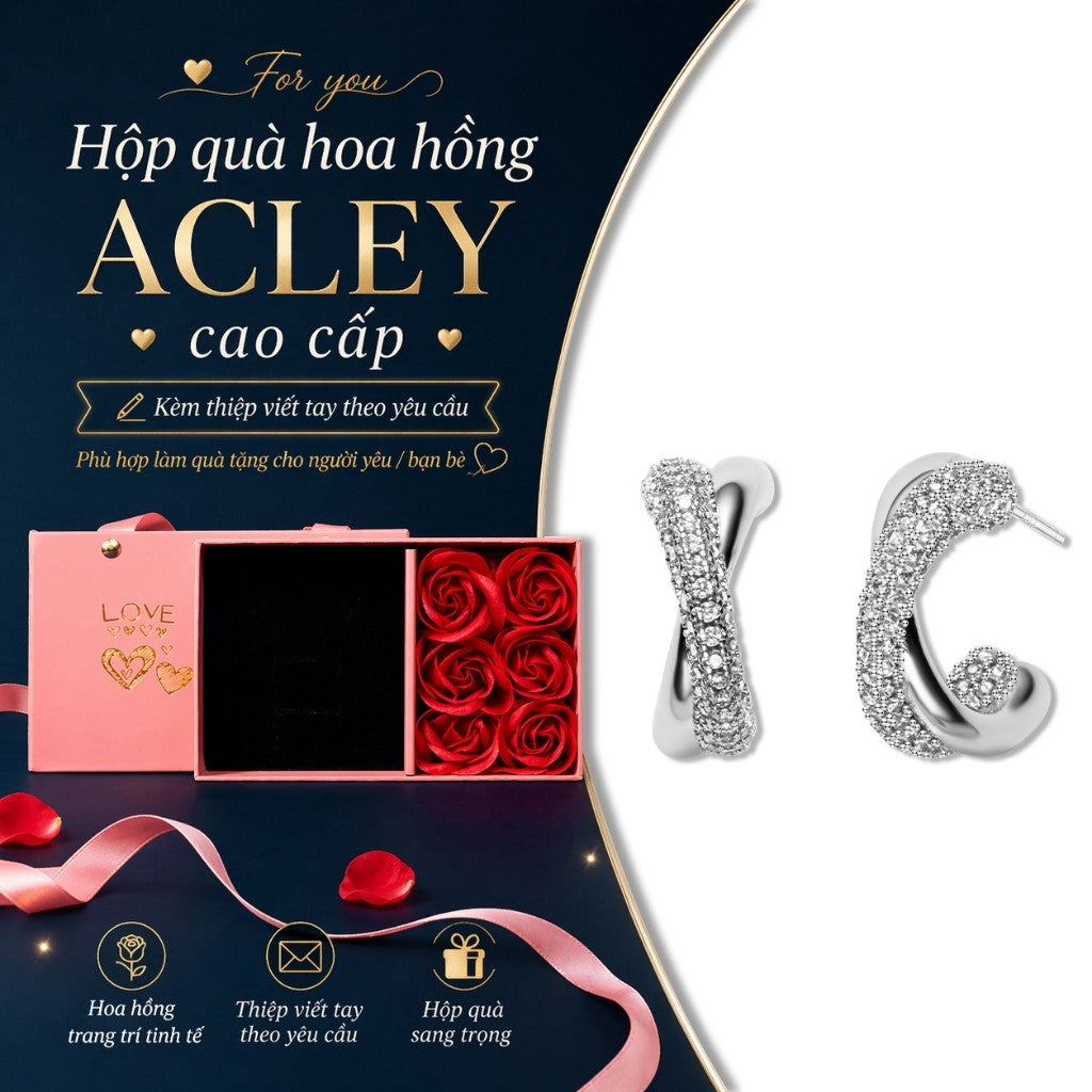 Bông tai vòng hợp kim đồng dáng xoắn đính đá zircon 5A kim bạc