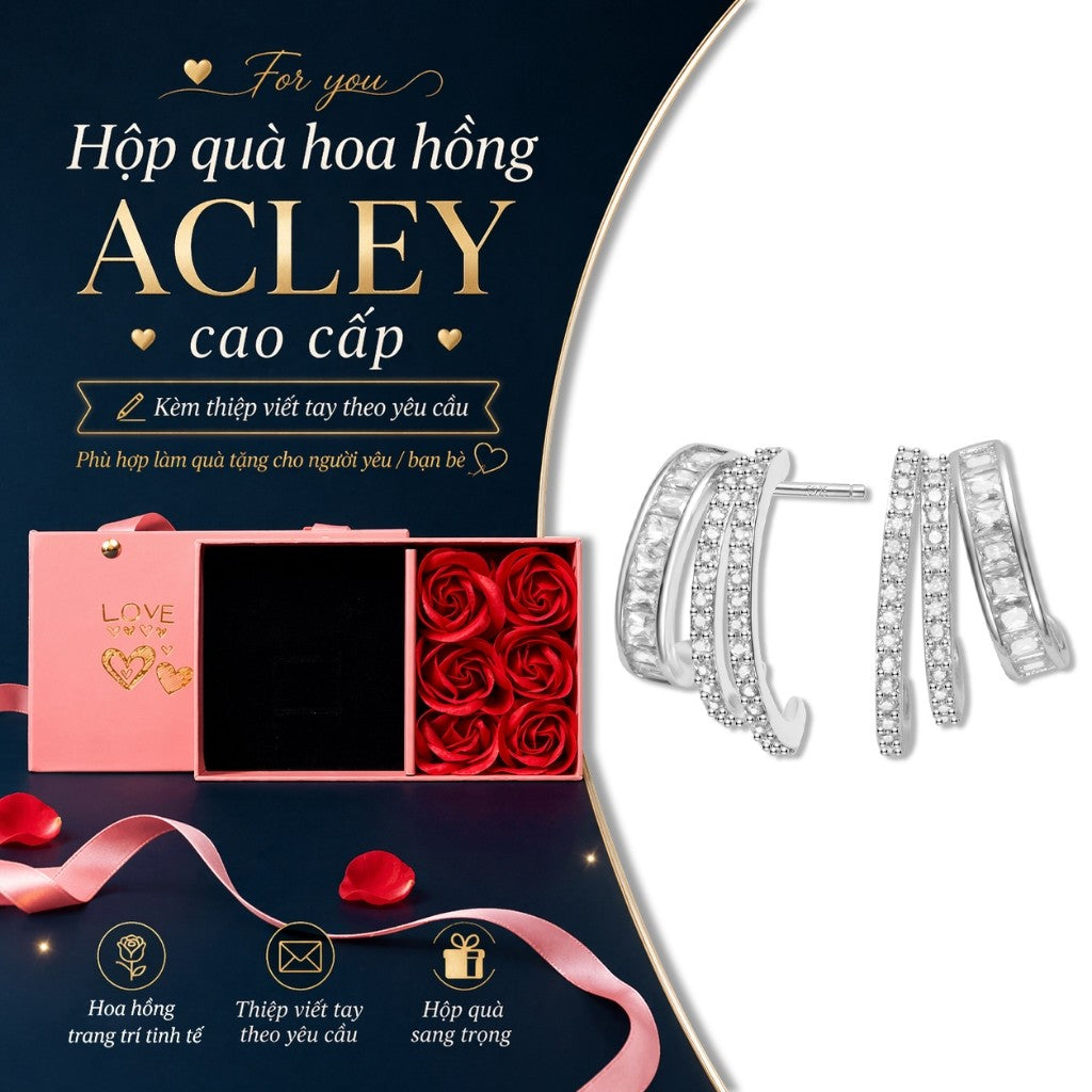Bông tai dáng vòng hợp kim đồng đính đá zircon 5A kim bạc
