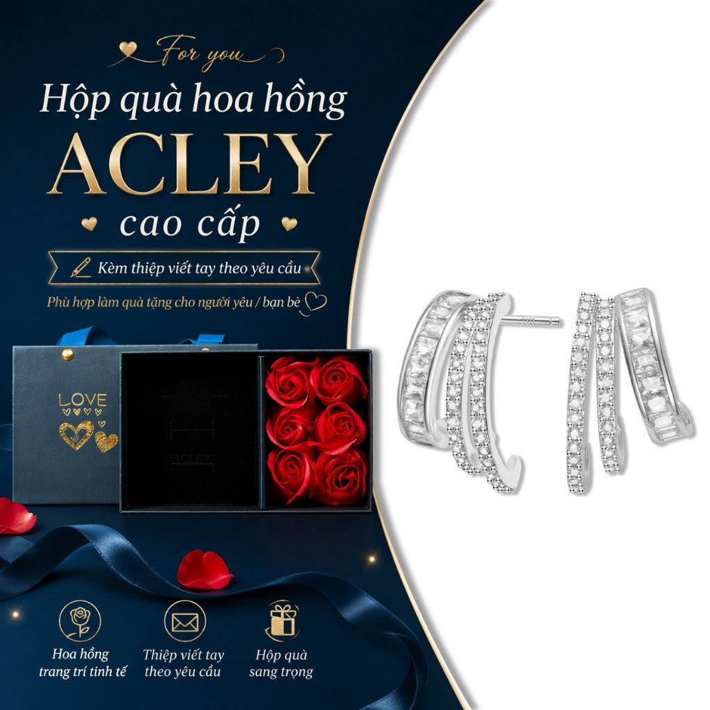 Bông tai dáng vòng hợp kim đồng đính đá zircon 5A kim bạc